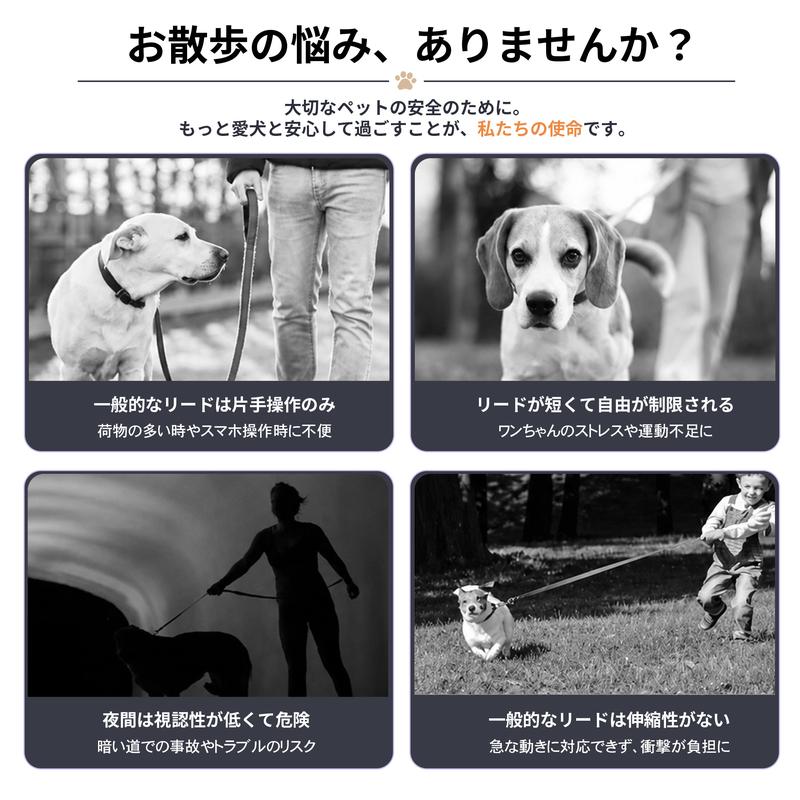 LumiWalk™ LEDライト付き伸縮リード